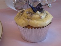 /album/photo-gallery-cupcakes1/jacks-first-camp-021-jpg/